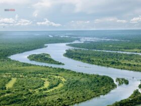 Sungai Terpanjang di Indonesia yang Bikin Melongo! Bukan Cuma Panjang, Tapi Penuh Misteri!